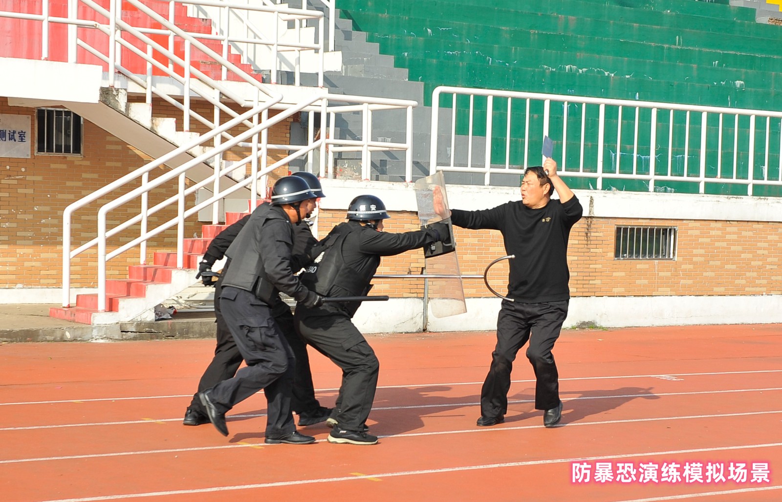 _DSC8731_副本_副本.jpg